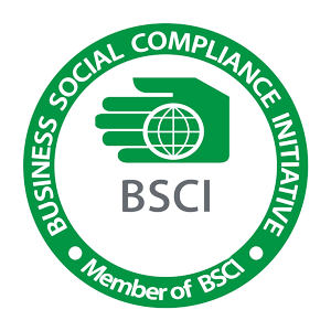 BSCI Audited Factory