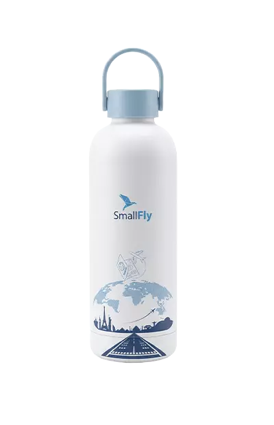 custom insulated stainless steel water bottle rubberized matte 3D relief design with handle