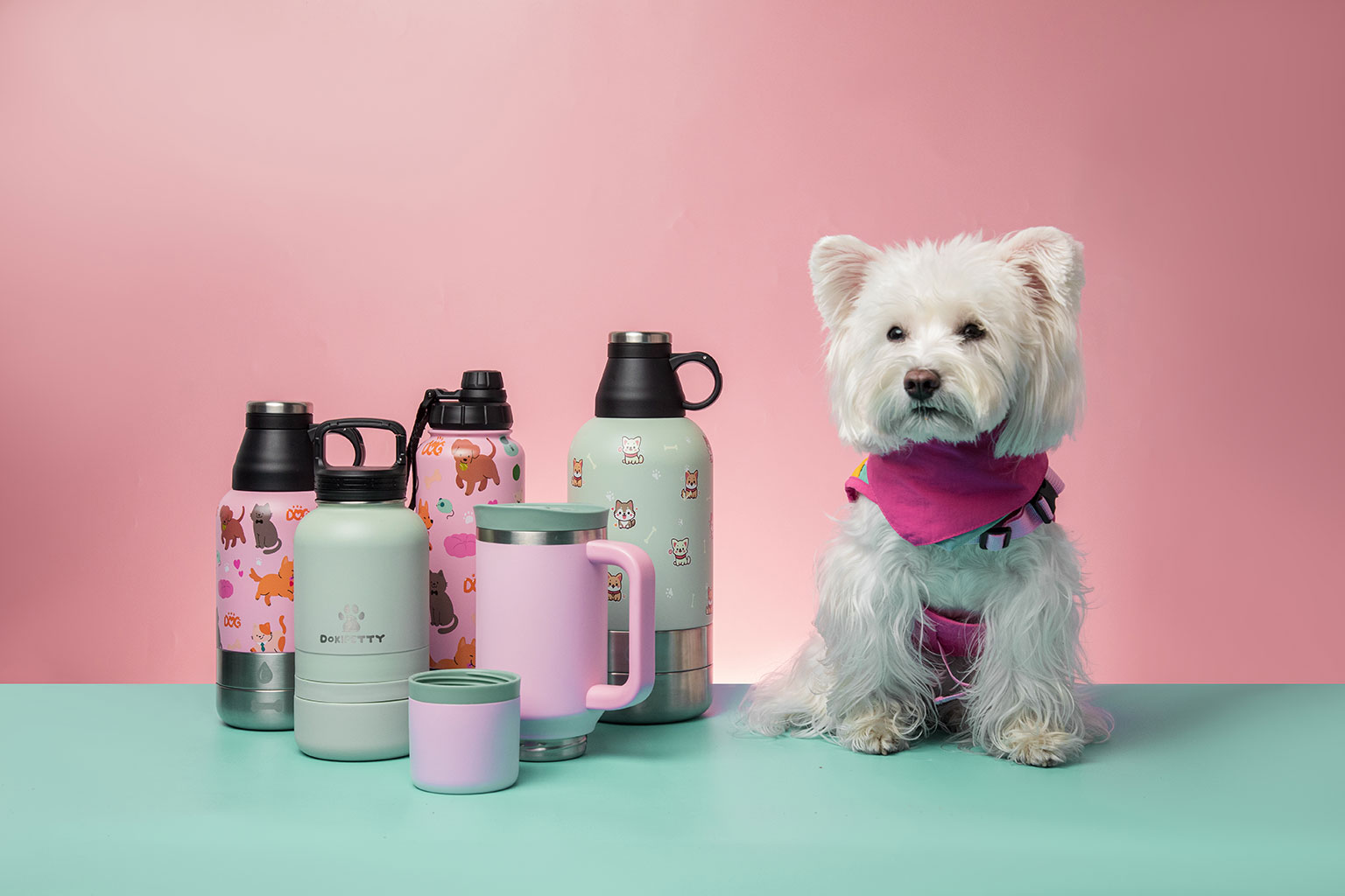 Custom pet water bottles for wholesale pet product brands
