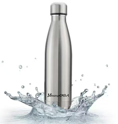 Brushed Stainless Steel Water Bottle
