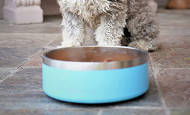 Effortless Maintenance - Dishwasher Safe Pet Bowl